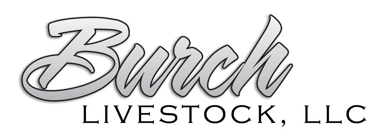 Burch Livestock, LLC
