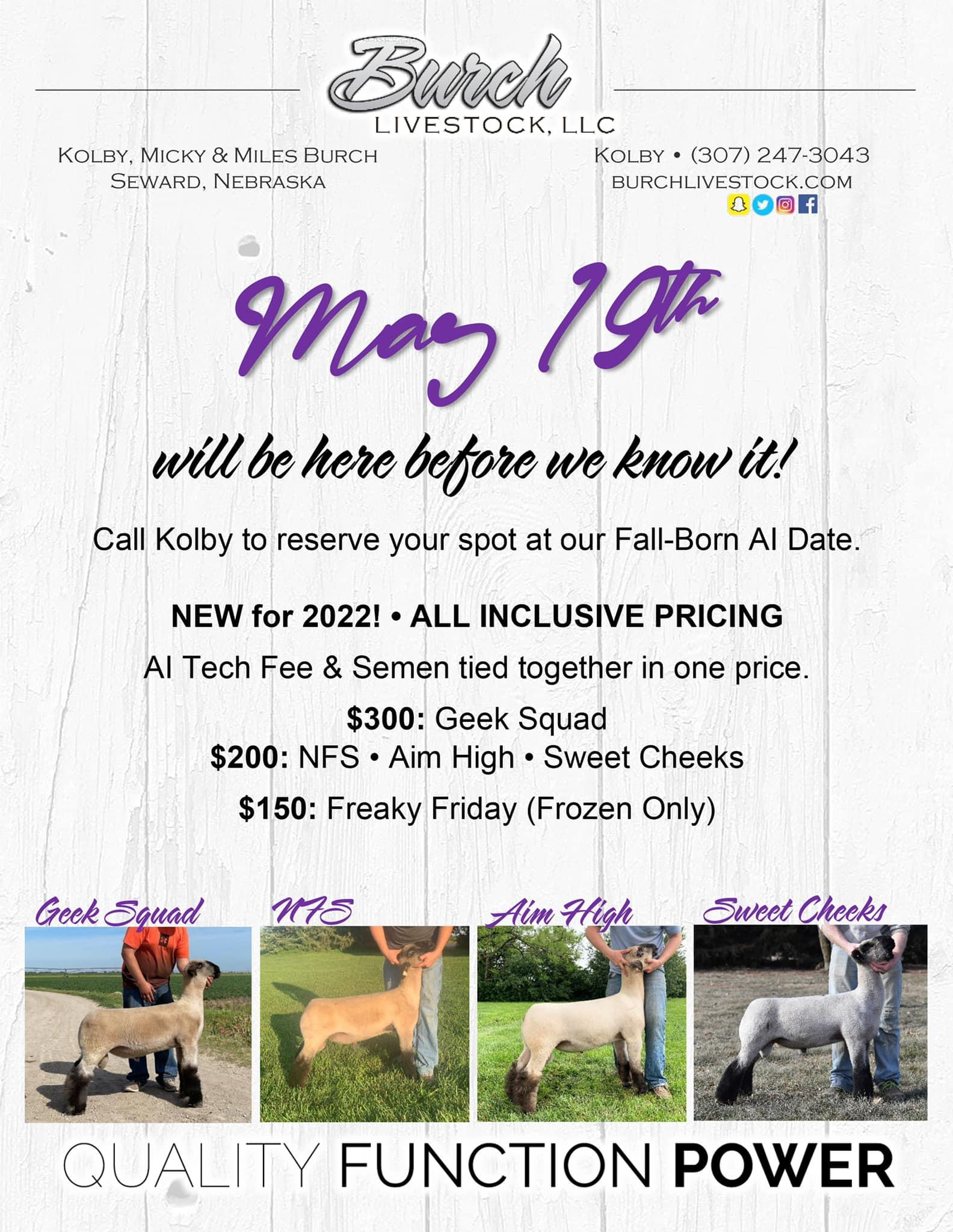 salesflyer_31422