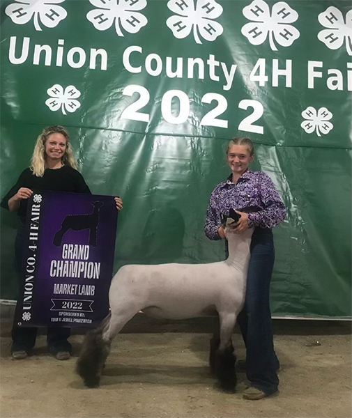 Grand Champion Market Lamb  Union County, IN