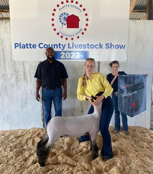 Reserve Grand Champion Ewe  Platte County Livestock Show, MO