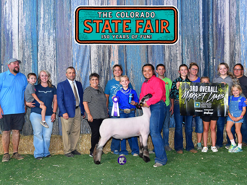 3rd Overall Market Lamb - Colorado State Fair