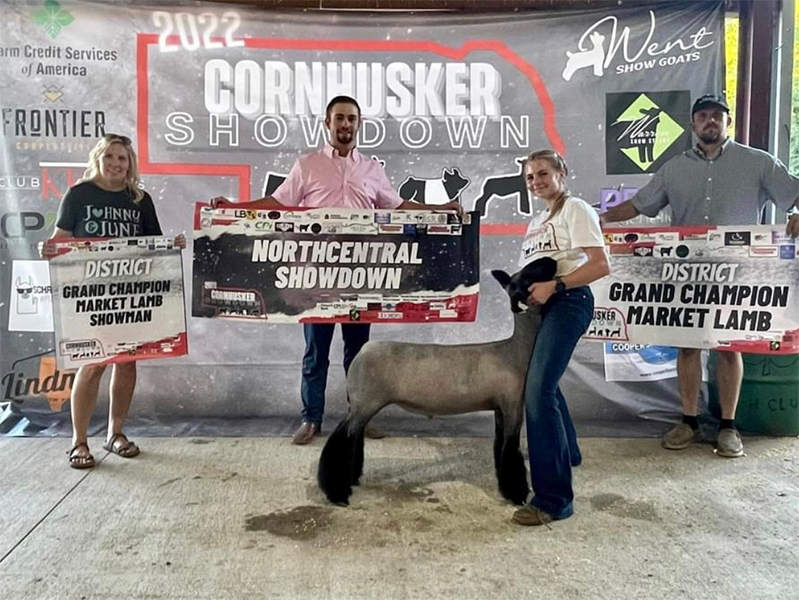 Champion Market Lamb Cornhusker Showdown