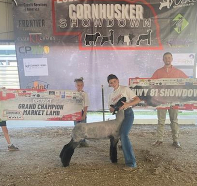 Champion Market Lamb Cornhusker Showdown