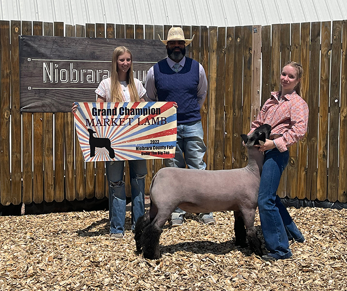 Grand Champion Market Lamb Niobrara County, WY