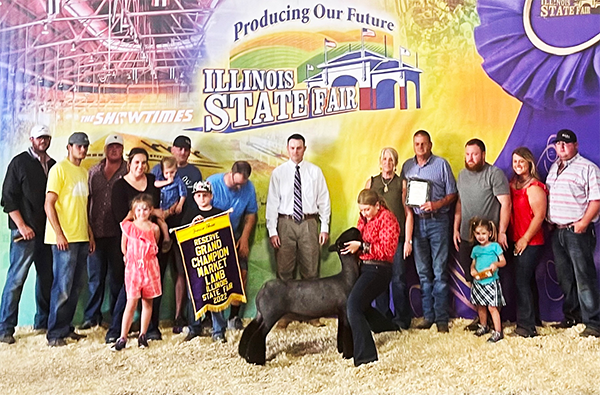Reserve Grand Market Lamb Illinois State Fair Junior Show