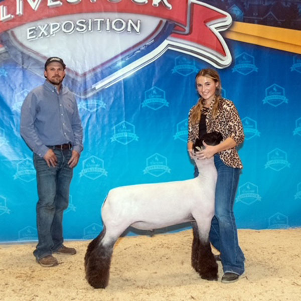 5th Overall Blackface Cross Cheyenne Livestock Expo Shown by Alaina Mauck NFS x Donor 0125