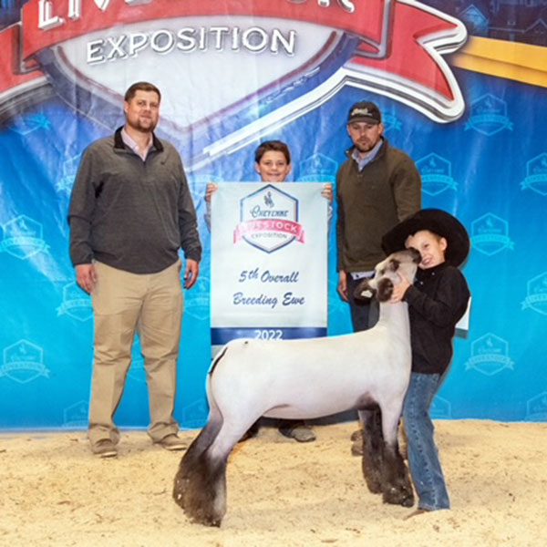5th Overall Breeding Ewe Cheyenne Livestock Expo Shown by Miles Burch Geek Squad x Frost Warning