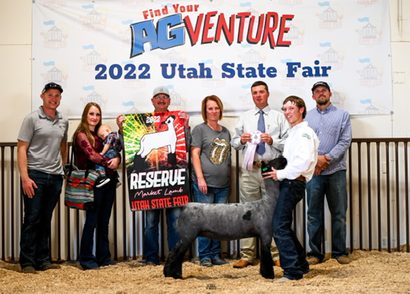 Reserve Champion Market Lamb Utah State Fair