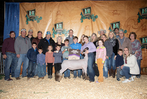 Grand Champion Market Lamb<br />
San Patricio County - Texas