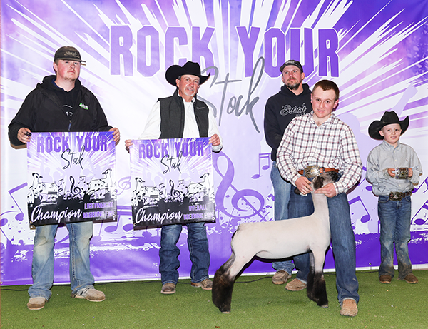 Grand Champion Ewe<br />
Rock Your Stock - Utah