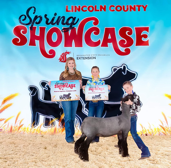Reserve Supreme Champion Lamb Lincoln County Spring Showcase - WA