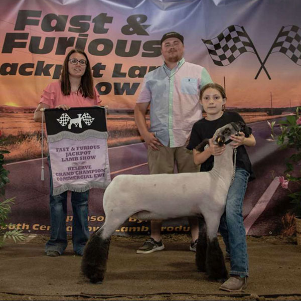 Reserve Grand Commercial Ewe<br />
Fast & Furious Jackpot