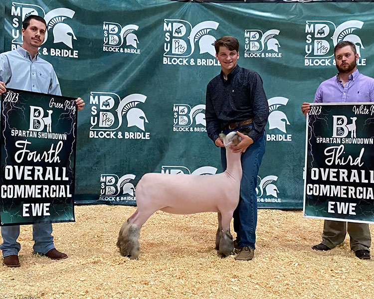 3rd Overall Comm Ewe - Show B<br />
4th Overall Comm Ewe - Show A<br />
MSU Block and Bridle