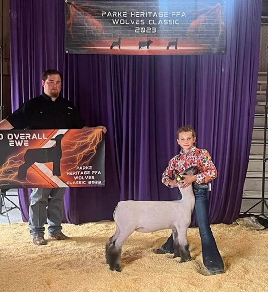 3rd Overall Ewe<br />
Parke Heritage FFA Wolves Classic