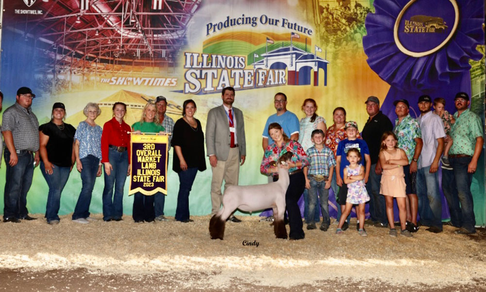 Champion Cross - 3rd Overall<br />
Illinois State Fair Junior Show 