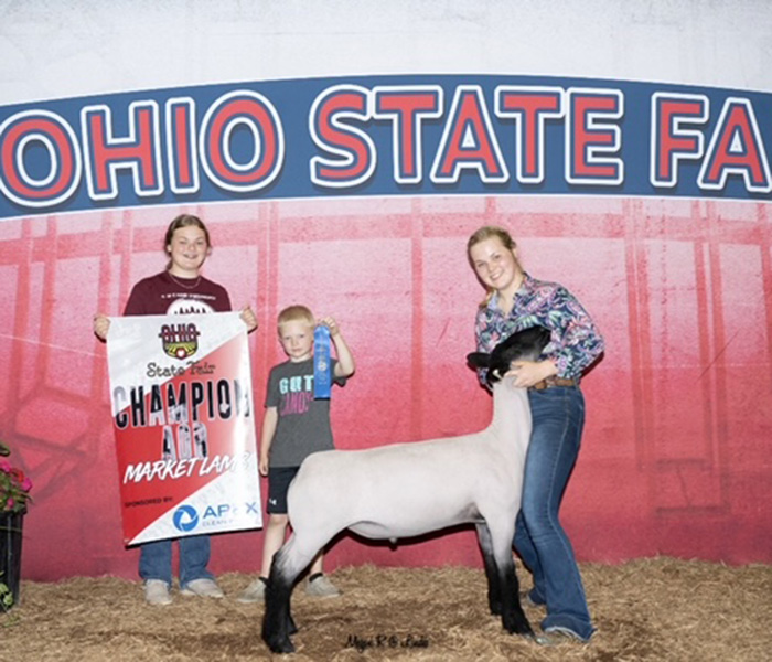 Champion AOB Market Lamb<br />
Ohio State Fair - Jr and Open Shows