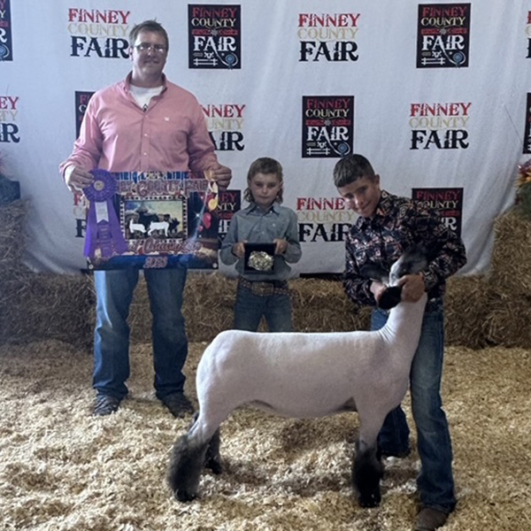 Grand Champion Breeding Ewe<br />
Finney County - Kansas 