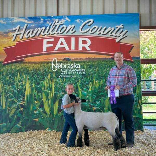 Champion Breeding Ewe<br />
Hamilton County - Nebraska 