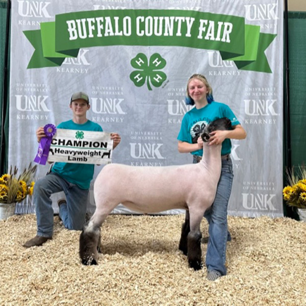Champion Heavyweight Market Lamb<br />
Buffalo County - Nebraska 