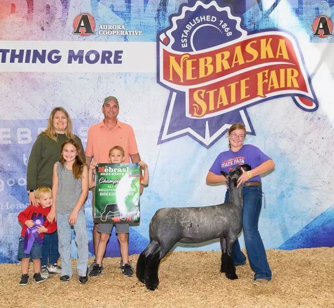 Champion AOB Breeding Ewe<br />
Nebraska Dtate Fair 4-H