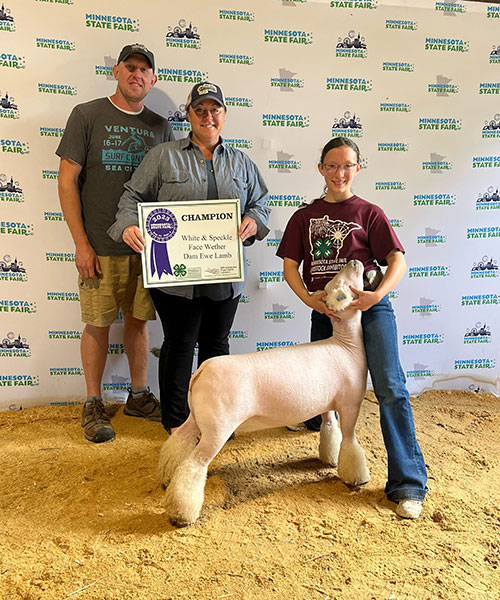 Champion Whiteface/Speckleface Ewe<br />
Minnesota State Fair 4-H