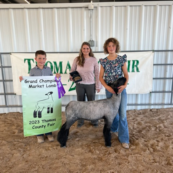 Grand Champion Market Lamb<br />
Thomas County - Kansas 