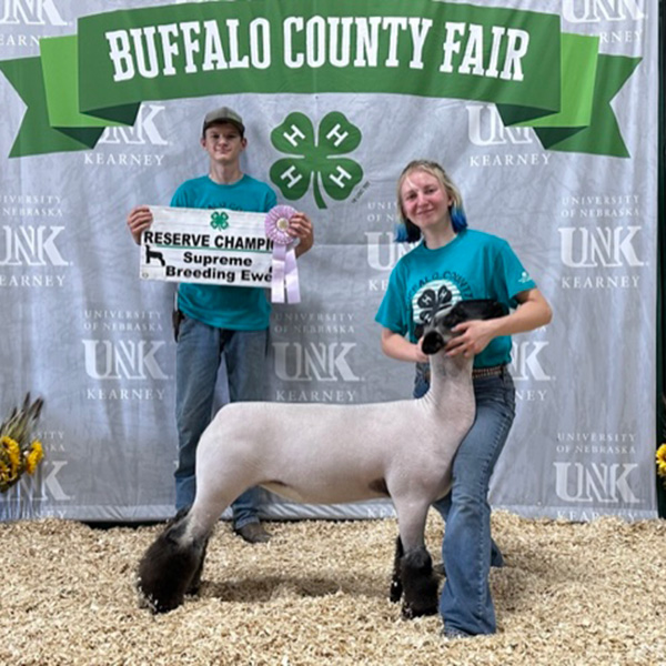 Reserve Champion Breeding Ewe<br />
Buffalo County - Nebraska 