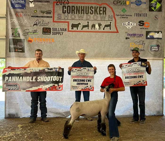 Res Champion Breeding Ewe<br />
Cornhusker Showdown
