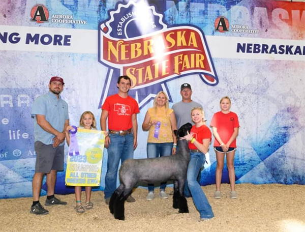 Champion AOB Breeding Ewe<br />
Nebraska State Fair FFA