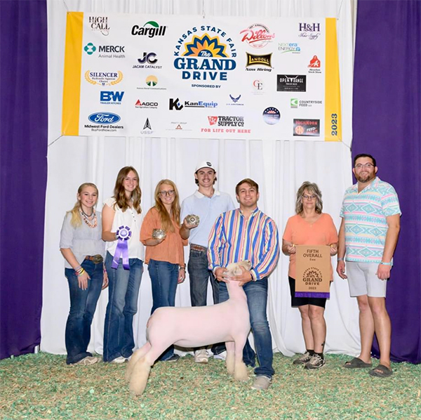 Champion Southdown<br />
5th Overall Breeding Ewe<br />
Kansas State Fair