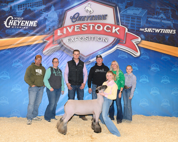 4th Overall Breeding Ewe<br />
Cheyenne Livestock Expo