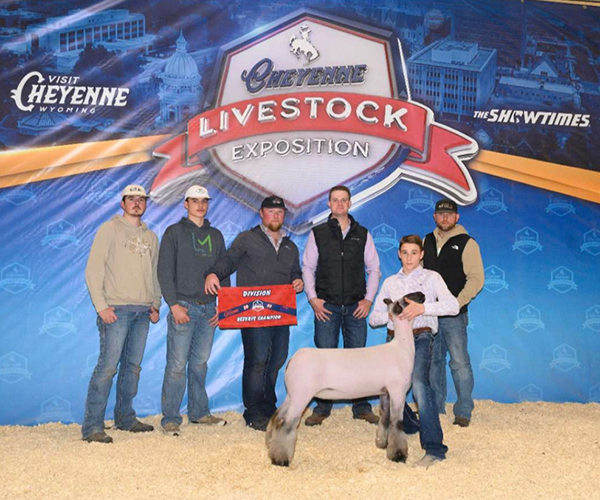 Reserve Grand Champion Ewe<br />
Cheyenne Livestock Expo