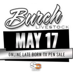 burch-may17 Young Guns