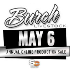 burch-may6 Young Guns