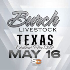 Burch Texas Pen Sale Burch Texas Pen Sale