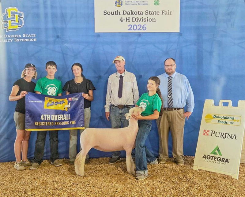 4th Overall Registered Ewe, South Dakota State Fair 4-H